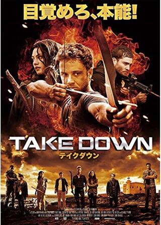テイクダウン TAKE DOWNのポスター