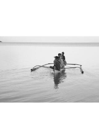 チンパンジー属のポスター